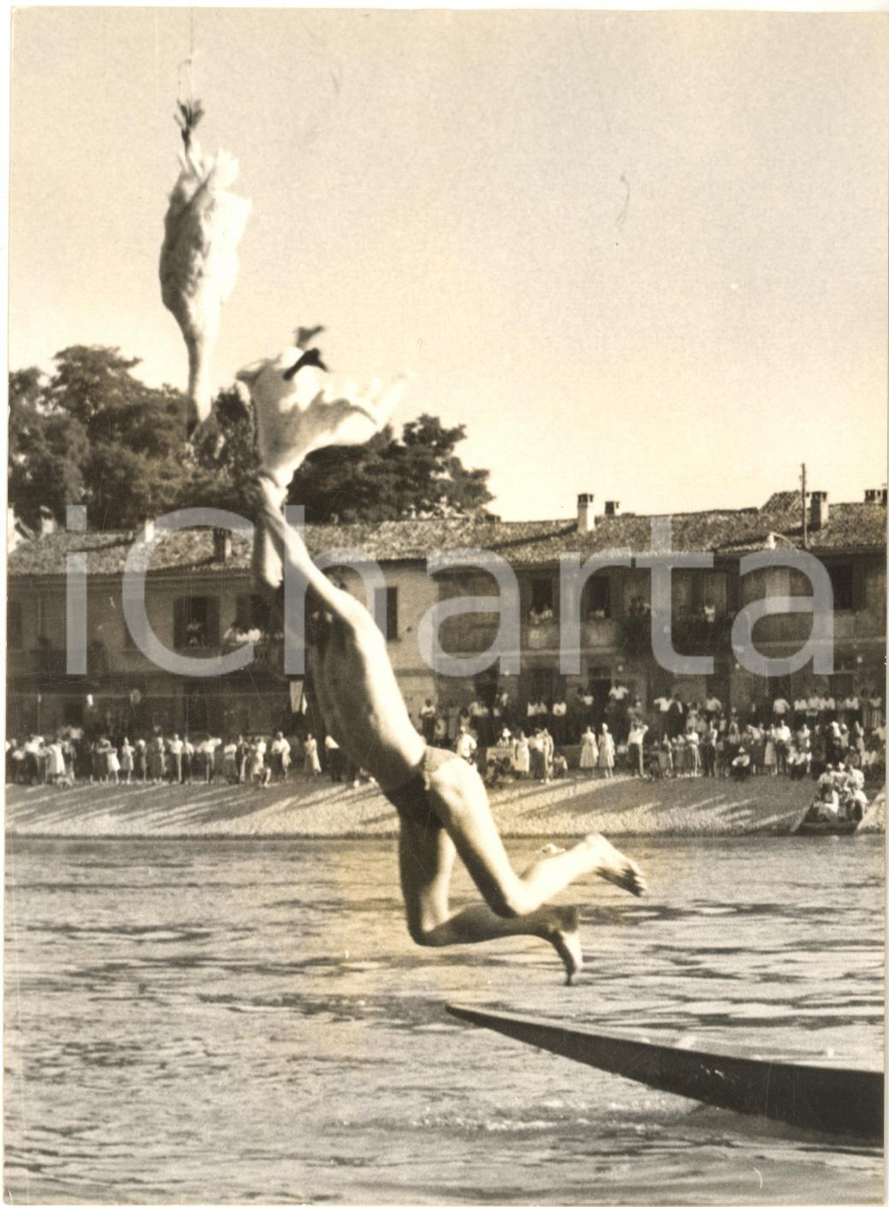 1958 PAVIA PALIO DELL'OCA - Tuffo di un concorrente per afferrare l'oca - Foto