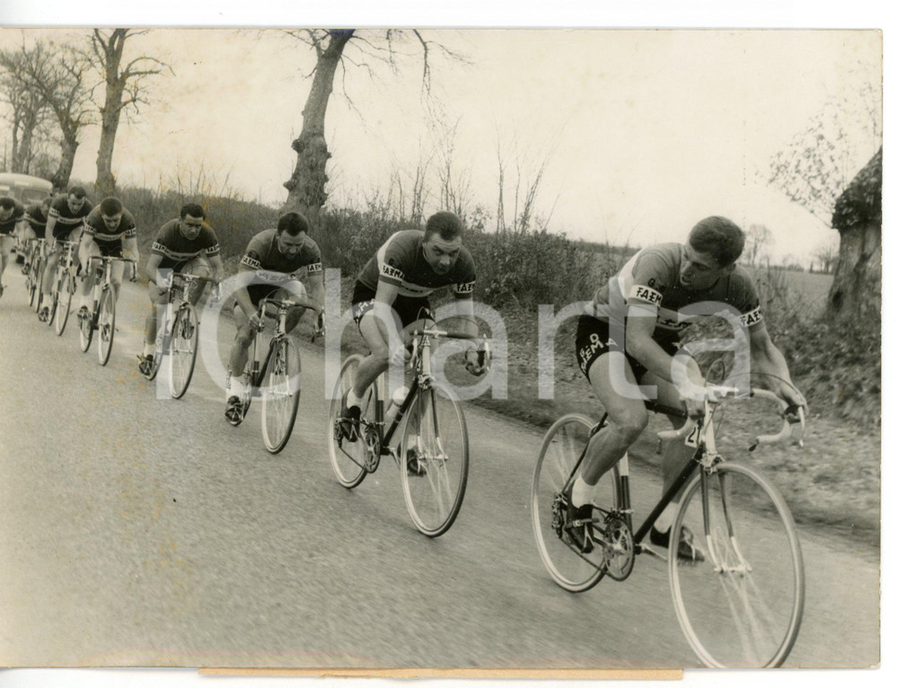 1960 CICLISMO PARIGI-NIZZA Gien-Bourges - Rik VAN LOOY con gregari FAEMA *Foto