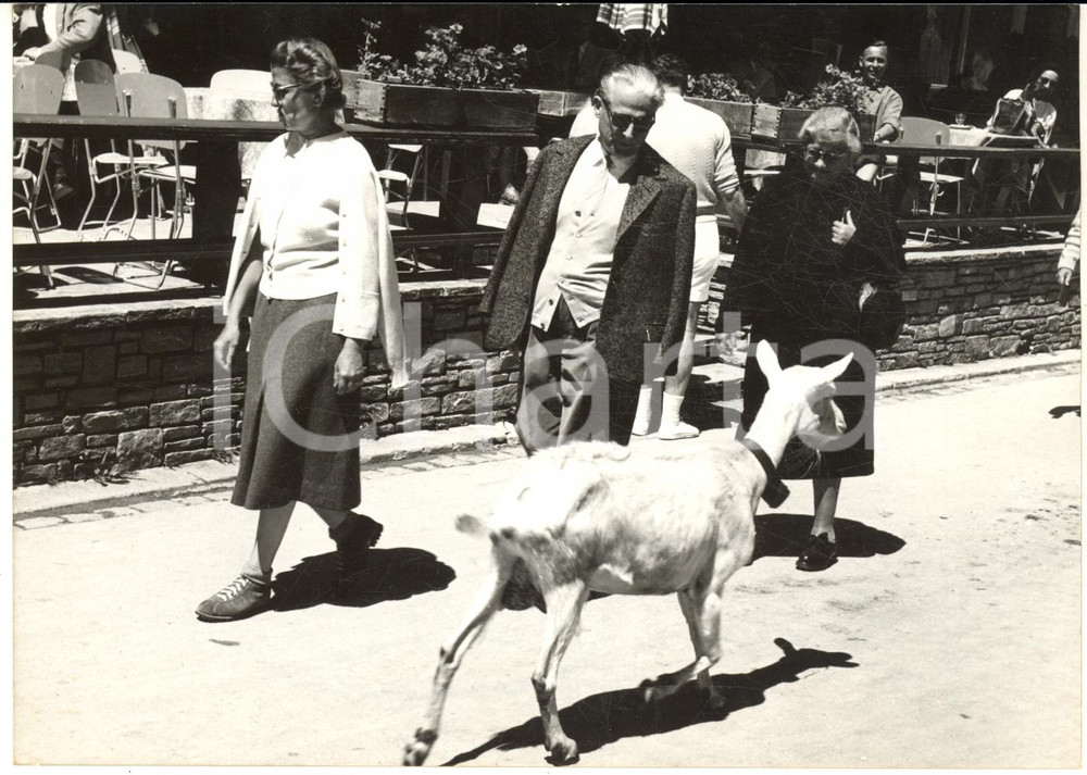 1956 ZERMATT (CH) Giovanni GRONCHI al passaggio di una capretta *Foto 18x13 cm