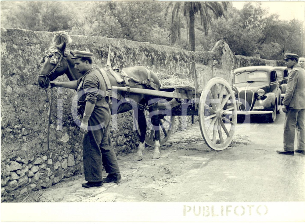 1955 ca PALERMO Cavallo conduce Guardia di Finanza in un covo di contrabbandieri