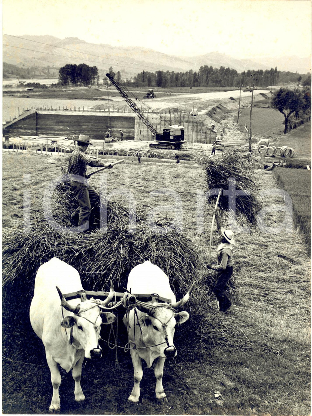 1960 CASALECCHIO DI RENO Contadini presso il cantiere dell'AUTOSTRADA DEL SOLE 