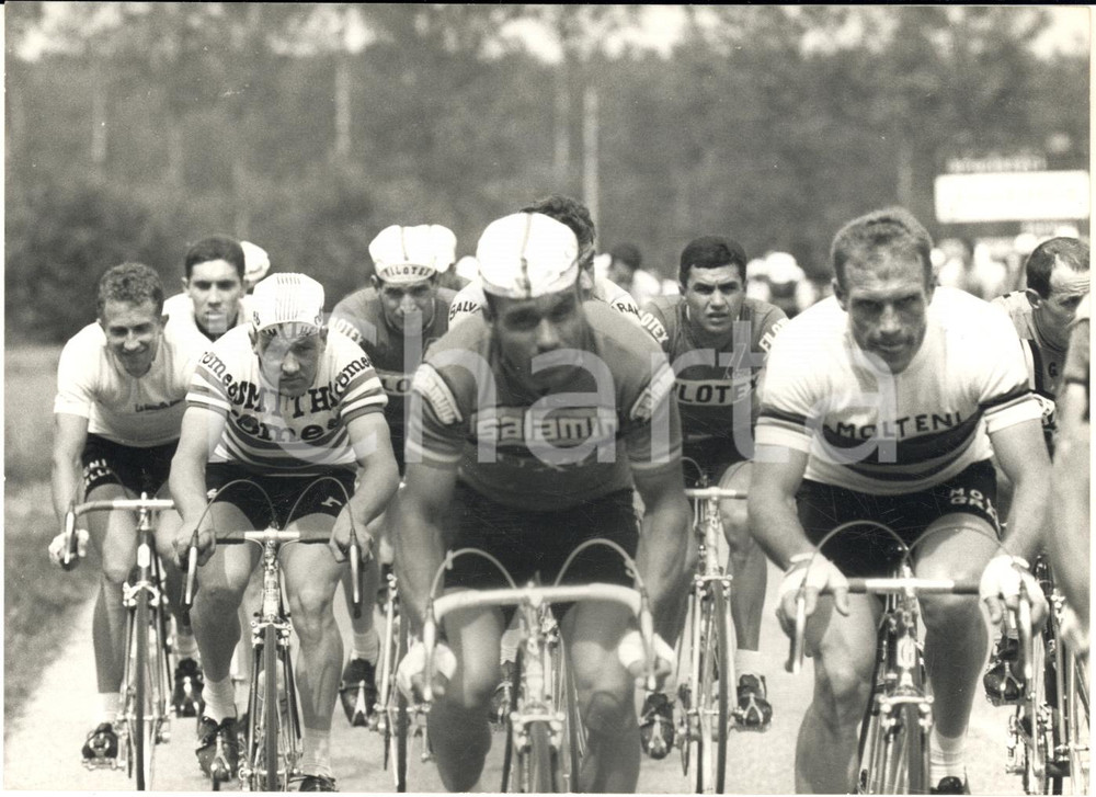 1967 CICLISMO GIRO D'ITALIA Gianni MOTTA e Rudi ALTIG nel gruppo *Foto 18x13 Fotografia d'epoca con didascalia coeva al verso. CONDIZIONI: G FORMATO: 18x13 cm     originale e autentica 1