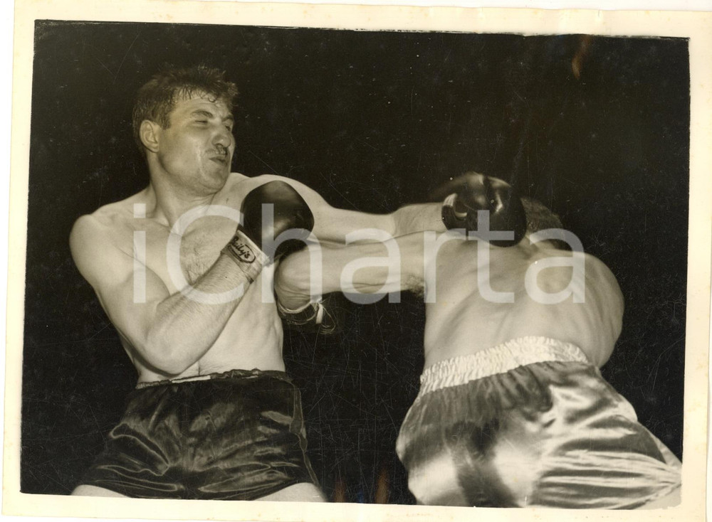 1956 BOXE LONDON Wembley Pool - Henry COOPER vs Giannino LUISE *Photo 20x15 