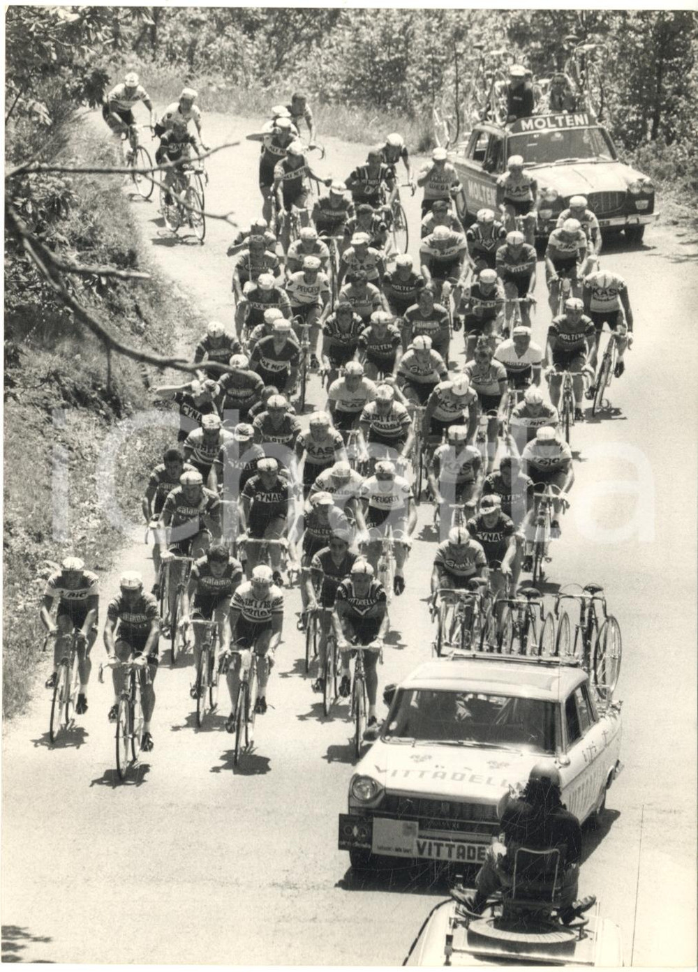 1967 CICLISMO GIRO D'ITALIA Operatore televisivo filma il gruppo *Foto 13x18 cm Fotografia d'epoca con didascalia coeva al verso. CONDIZIONI: G (ma lieve impressione)FORMATO: 13x18 cm     originale e autentica 1