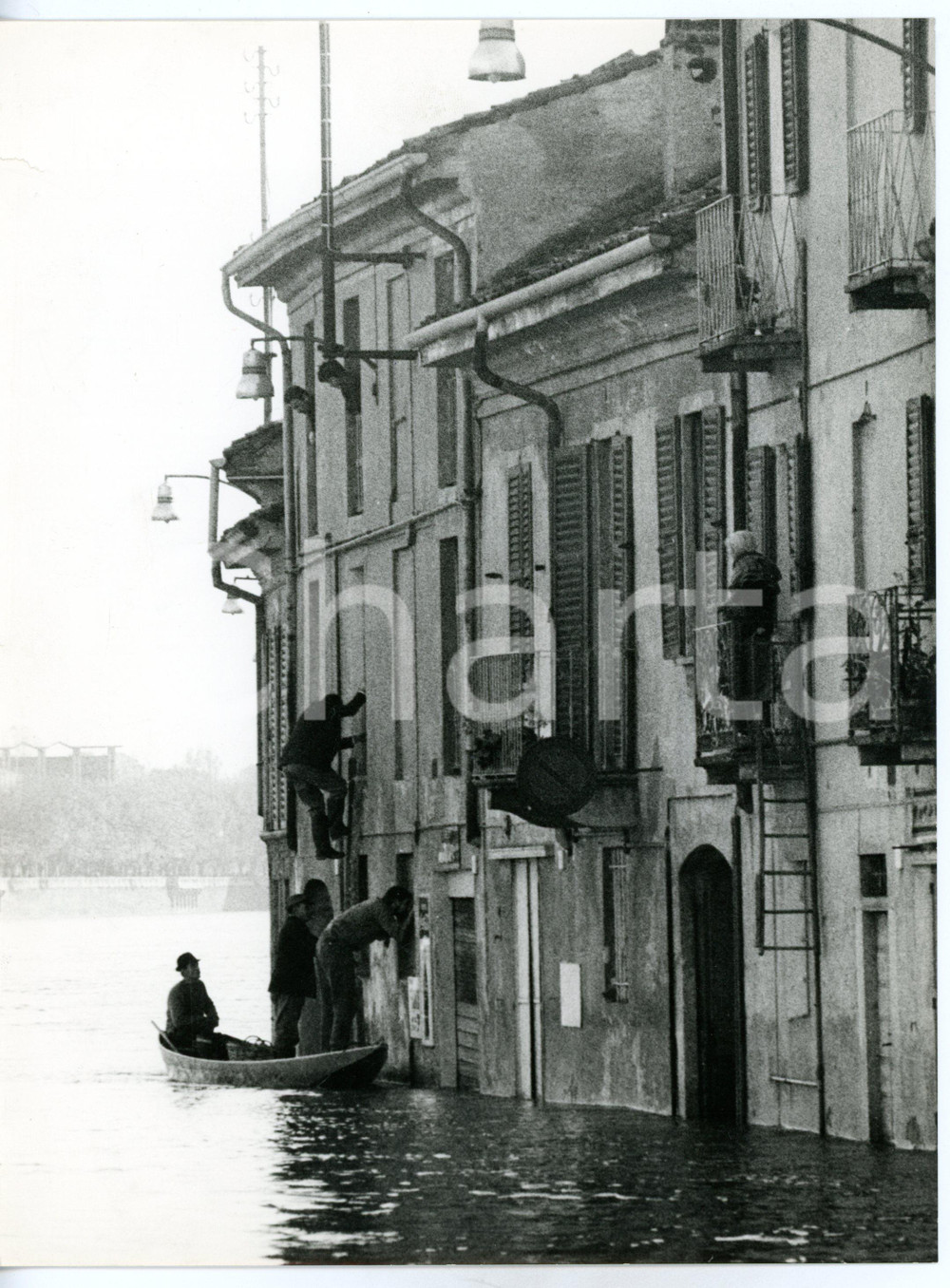 1968 INONDAZIONE A PAVIA Operazioni di salvataggio / Soccorritori sulle finestre