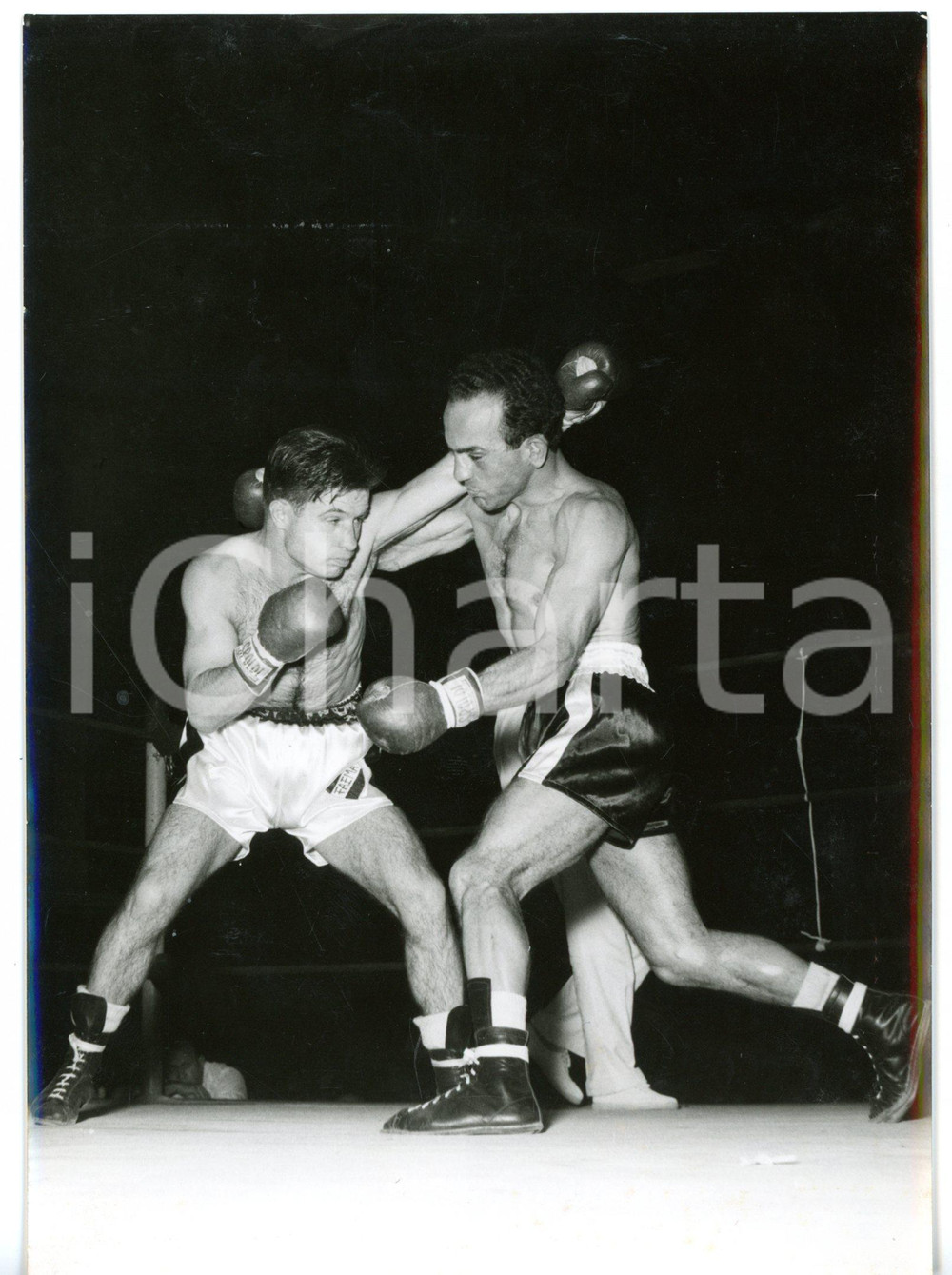 1956 MILANO BOXE Mario D'AGATA e Juan CARDENAS sul ring *Fotografia 13x18 cm