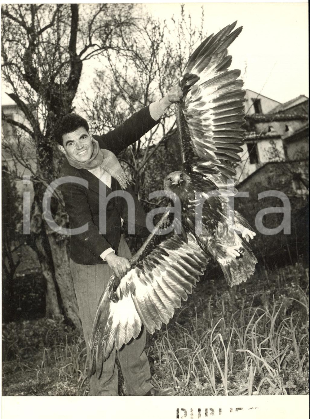 1955 GIFFONI VALLE PIANA Cacciatore Alessandro PEPE cattura grande aquila *Foto