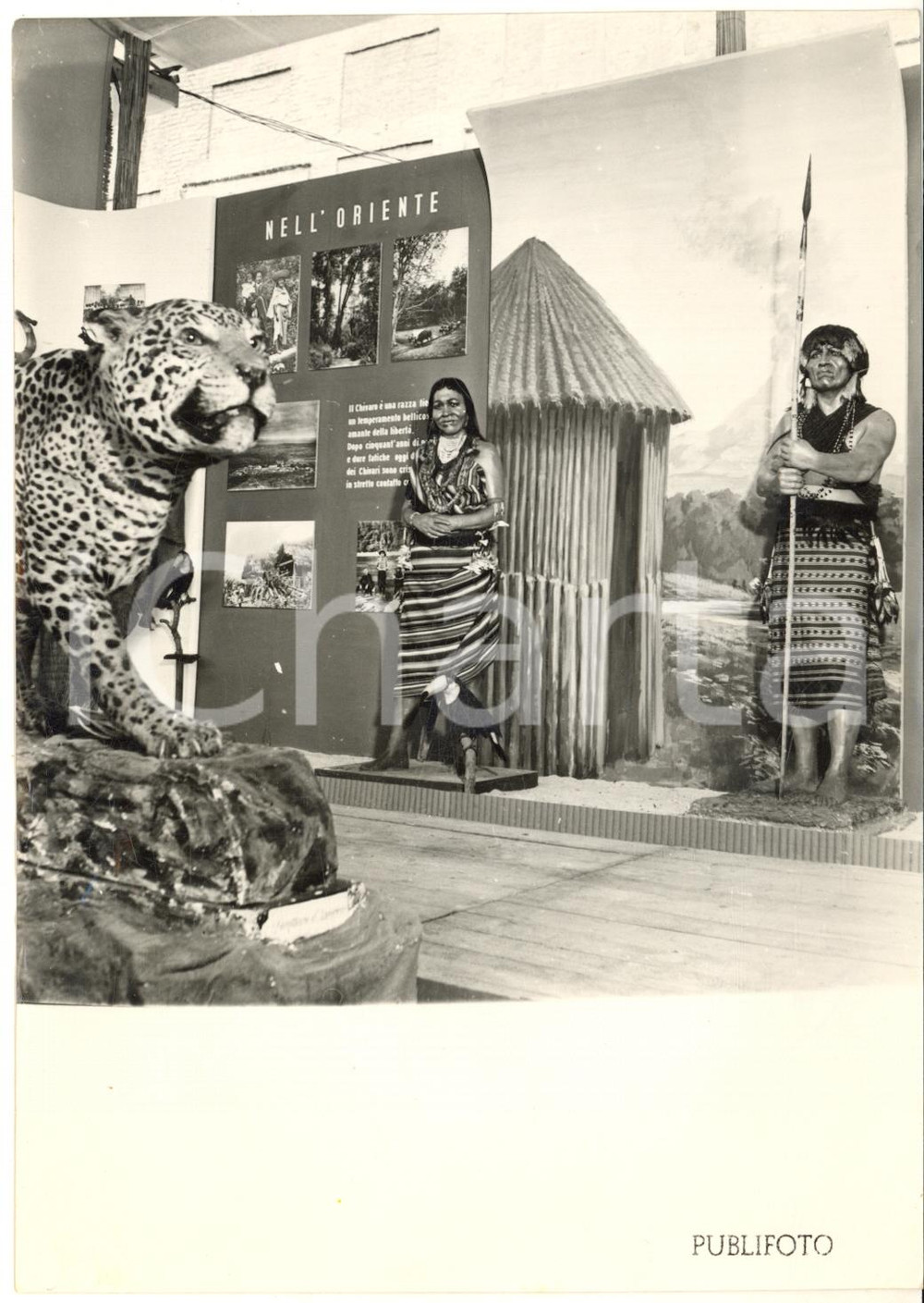 1953 TORINO Palazzo Reale - Mostra Missionaria - Stand del CILE *Foto 13x18 cm