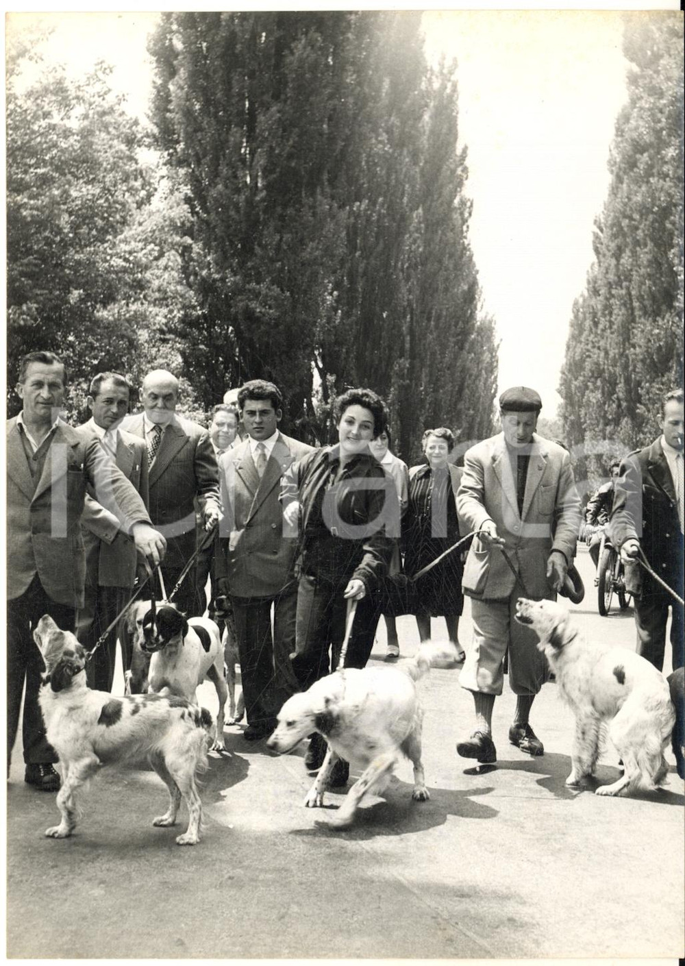 1956 TORINO Anna RESTAGNO concorrente di "Lascia o raddoppia?" Foto 13x18 cm