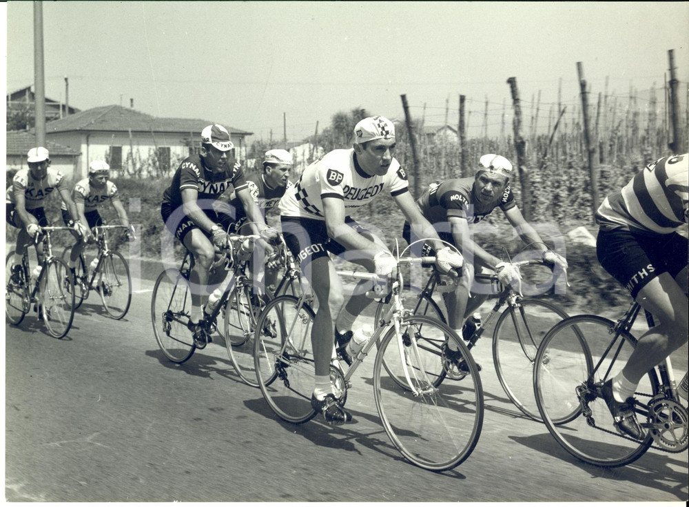 1967 CICLISMO GIRO D'ITALIA 3^ Tappa LA SPEZIA-PRATO - Passaggio gruppo *Foto