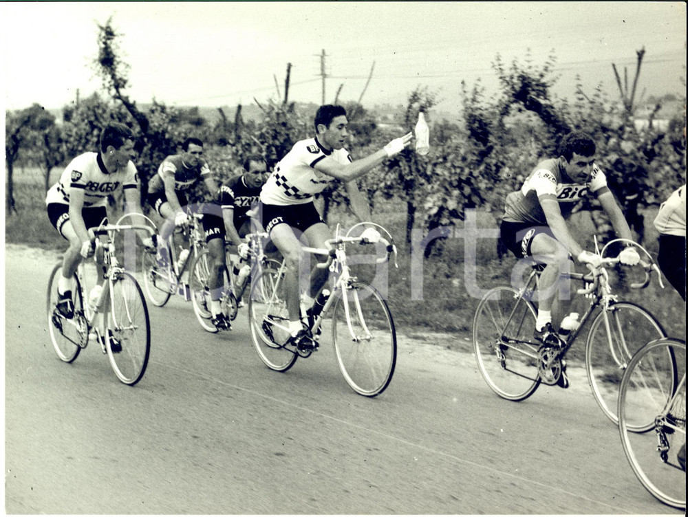 1967 CICLISMO GIRO D'ITALIA Tappa FIRENZE-CHIANCIANO Eddy MERCKX getta bottiglia