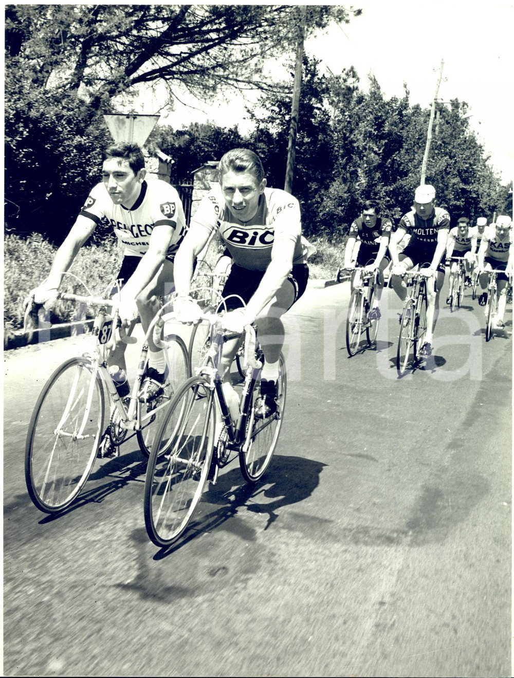 1967 CICLISMO GIRO D'ITALIA Tappa ROMA-NAPOLI Eddy MERCKX Jacques ANQUETIL *Foto