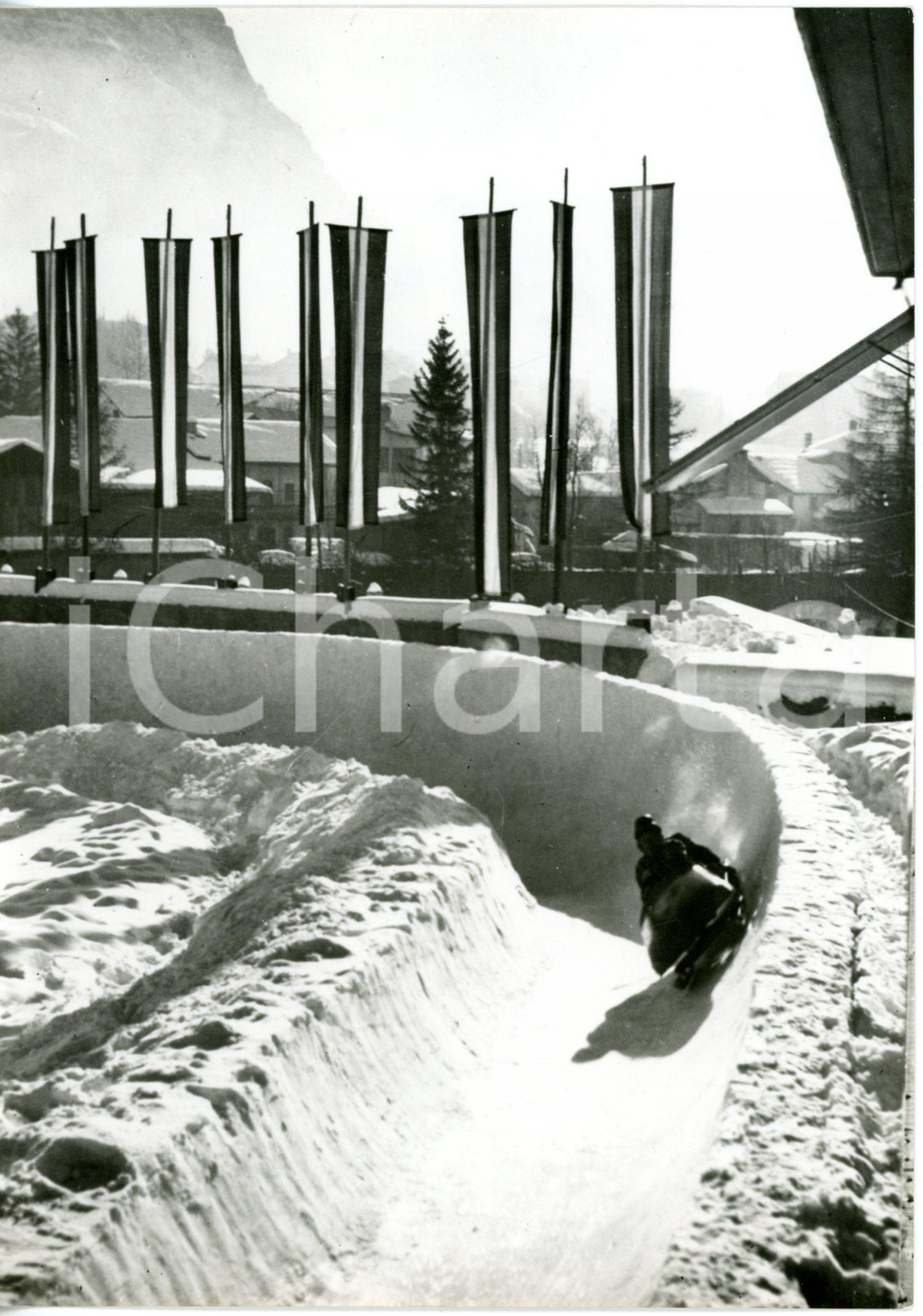 1956 CORTINA D'AMPEZZO VII Giochi olimpici invernali - Allenamento bob *Foto