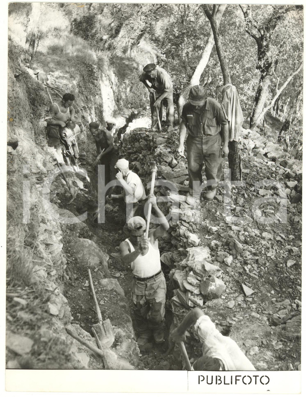 1953 CHIAVARI Impresa MEDIOLI - Lavori di scavo sopra il Belvedere - Foto 18x24