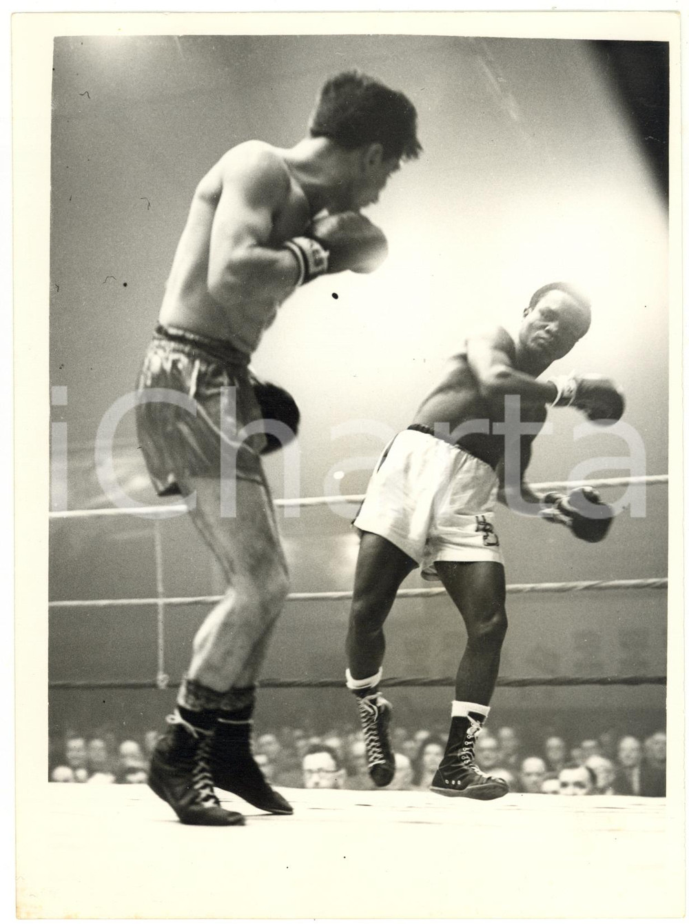 1956 LIVERPOOL BOXE Hogan Kid BASSEY vs Aldo PRAVISANI *Photo 15x20 cm