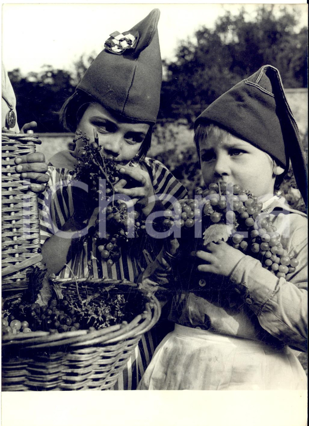 1962 PARIS Les vendanges de MONTMARTRE - Deux jeunes poulbots *Photo 13x18