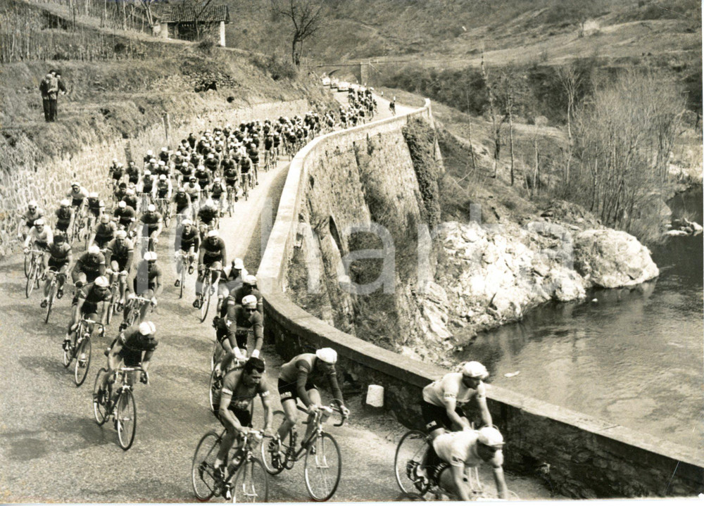 1955 CICLISMO 46^ Milano-Sanremo - Corridori al PASSO DEL TURCHINO *Foto 