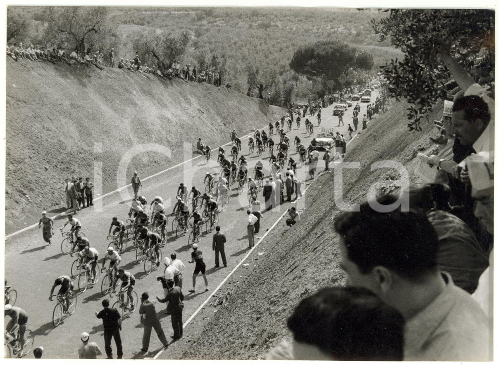 1955 Area di FRASCATI CICLISMO Giro d'Italia 10^ tappa - Il passaggio del gruppo