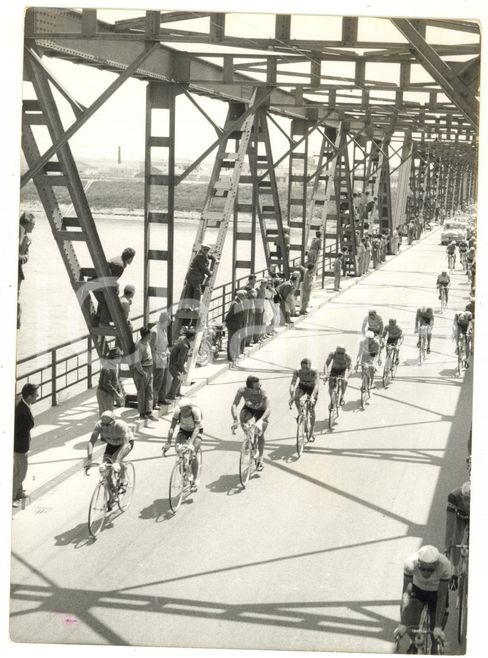 1955 Area di ROVIGO CICLISMO 38° Giro d'Italia - Passaggio sul ponte sull'Adige