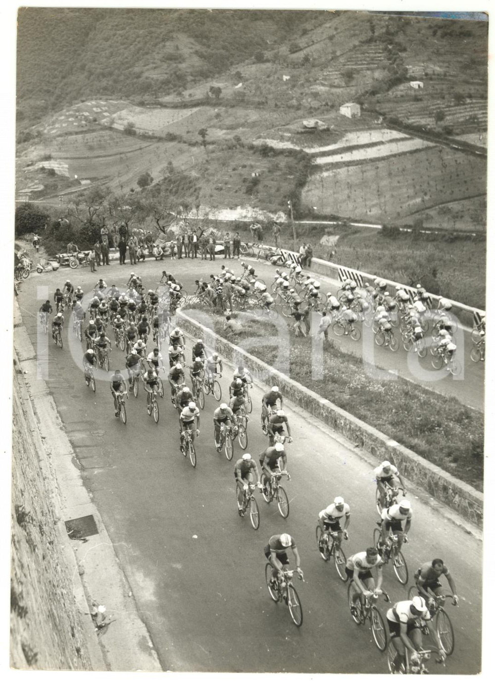1957 MONTESILVANO (PE) CICLISMO Giro d'Italia - Il gruppo affronta i tornanti