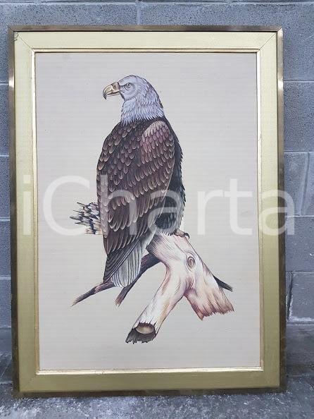 1970 VINTAGE Aquila di mare testa bianca - quadro 92 x 122 cm