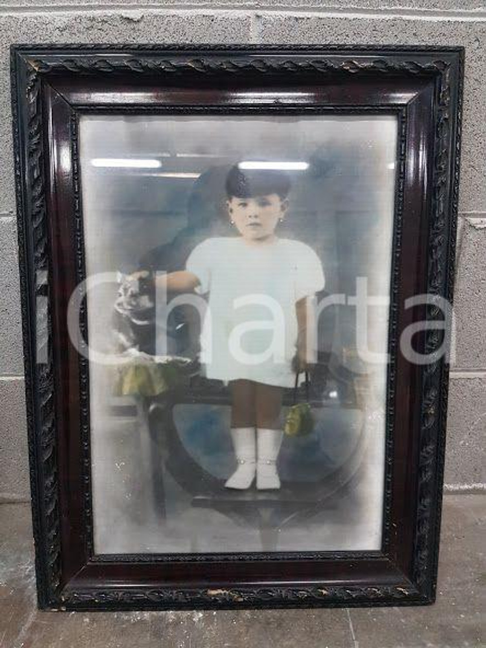 1970 VINTAGE Ritratto di bambina con cagnolino - foto con cornice 44,4 x 59.2 cm