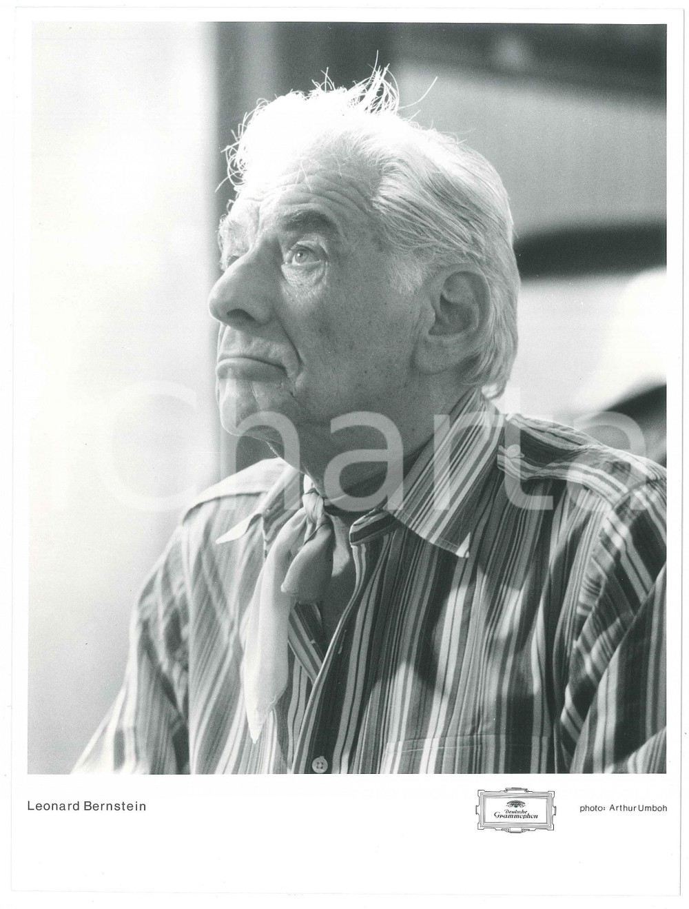 1980 ca MUSICA Leonard BERNSTEIN compositore - Ritratto *Foto 17x23 cm
