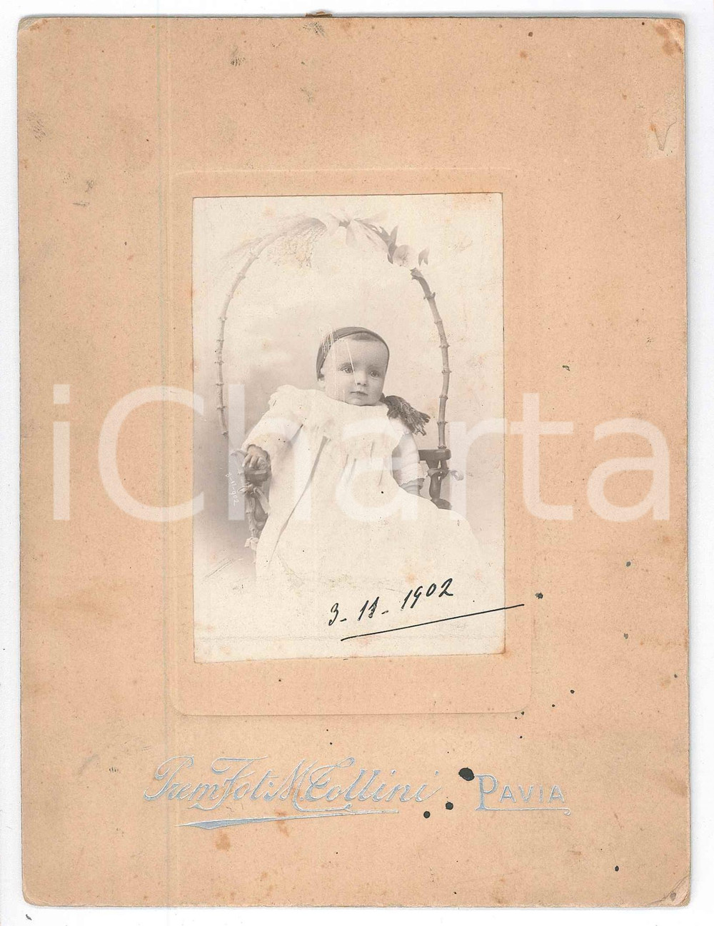 1902 PAVIA Ritratto di bambina sotto arco fiorito - Foto M. TOLLINI 13x17 cm Fotografia d'epoca, montata su cartoncino rigido.FOTOGRAFO: M. Tollini - Pavia FAIR/discreto minime macchie e smussature angolari Formato: 13x17 cm originale e autentica 1