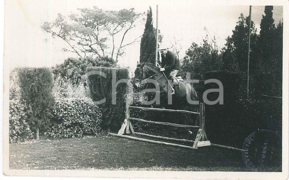 1930 ca Area di PERUGIA - IPPICA - Cavallo al salto - Foto FRATTICIOLI 14x9 cm