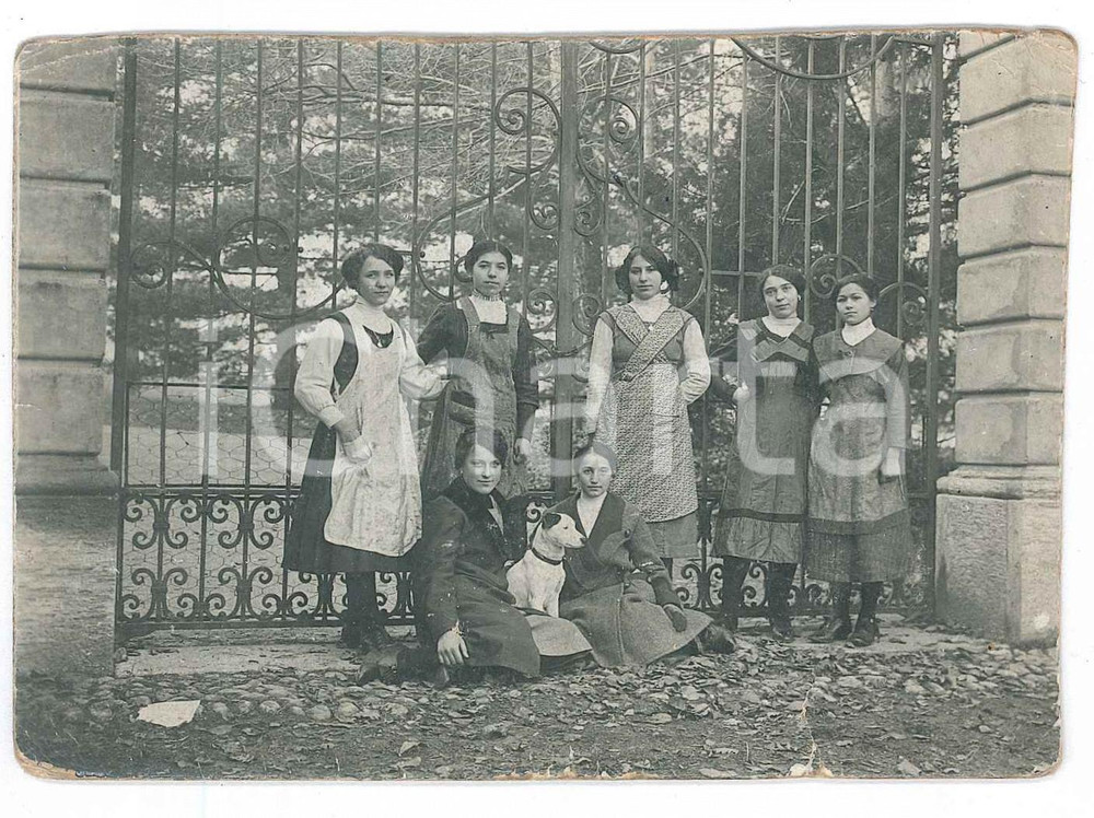 1920 ca ITALIA Gruppo di donne con cane presso un cancello - Foto anonima 11x8