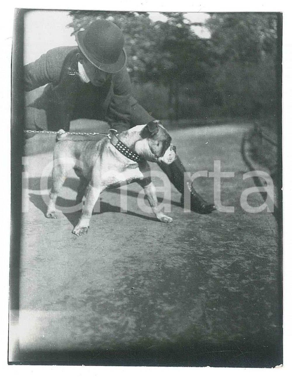 1920 ca ITALIA - CANI - Bulldog con il padrone - Foto 9x11 cm