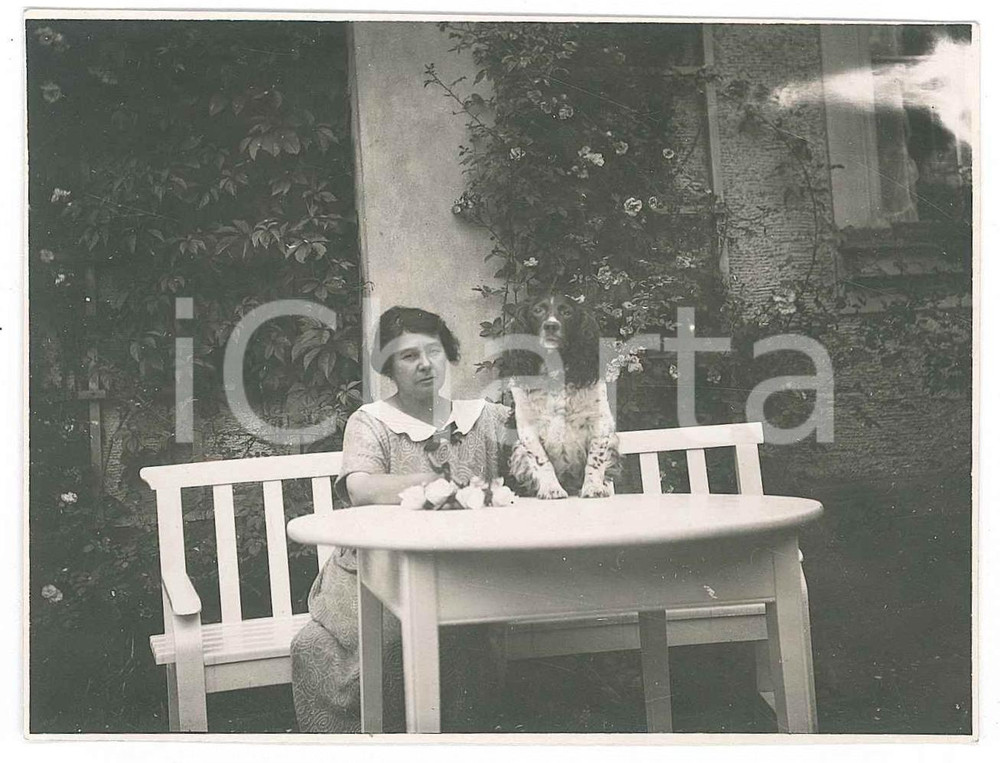 Fotografia d epoca originale 1920 ca ITALIA  CANI  Donna con Springer Spaniel  Foto 11x8 cm 1