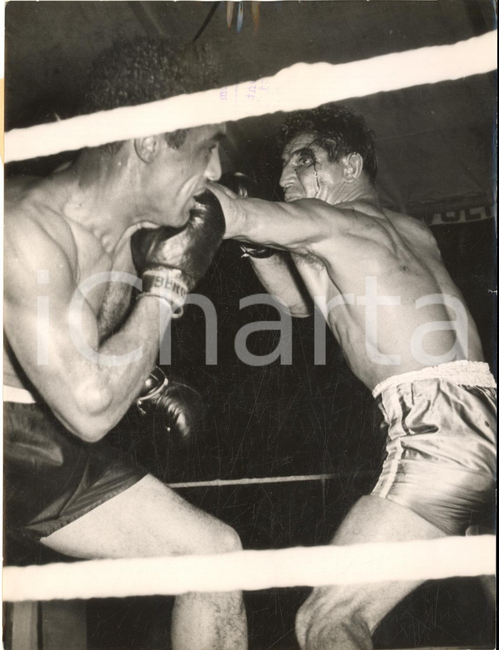 1953 BOXE COLOGNE Eisstadion - Peter MUELLER vs Alex BUXTON *Photo 15x20