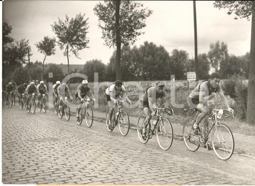 1954 CICLISMO TOUR DE FRANCE Louison BOBET vince tappa ANVERS-LILLE *Foto 18x13