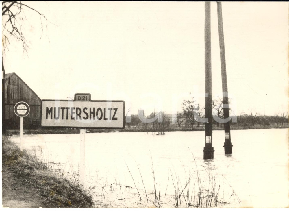 1955 MUTTERSHOLTZ (ALSACE) Inondazioni - Le strade invase dall'acqua *Foto