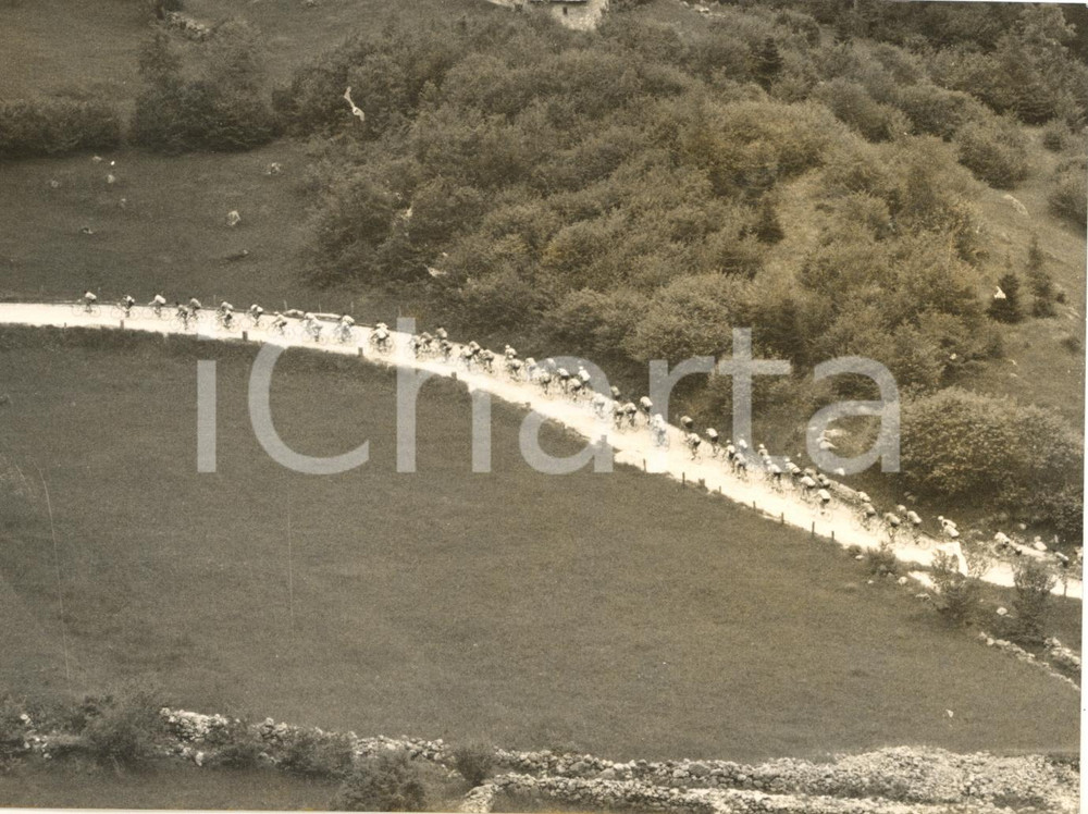 1955 ca CICLISMO Giro d'Italia - Il gruppo sul PASSO ROLLE - Foto 18x13 cm