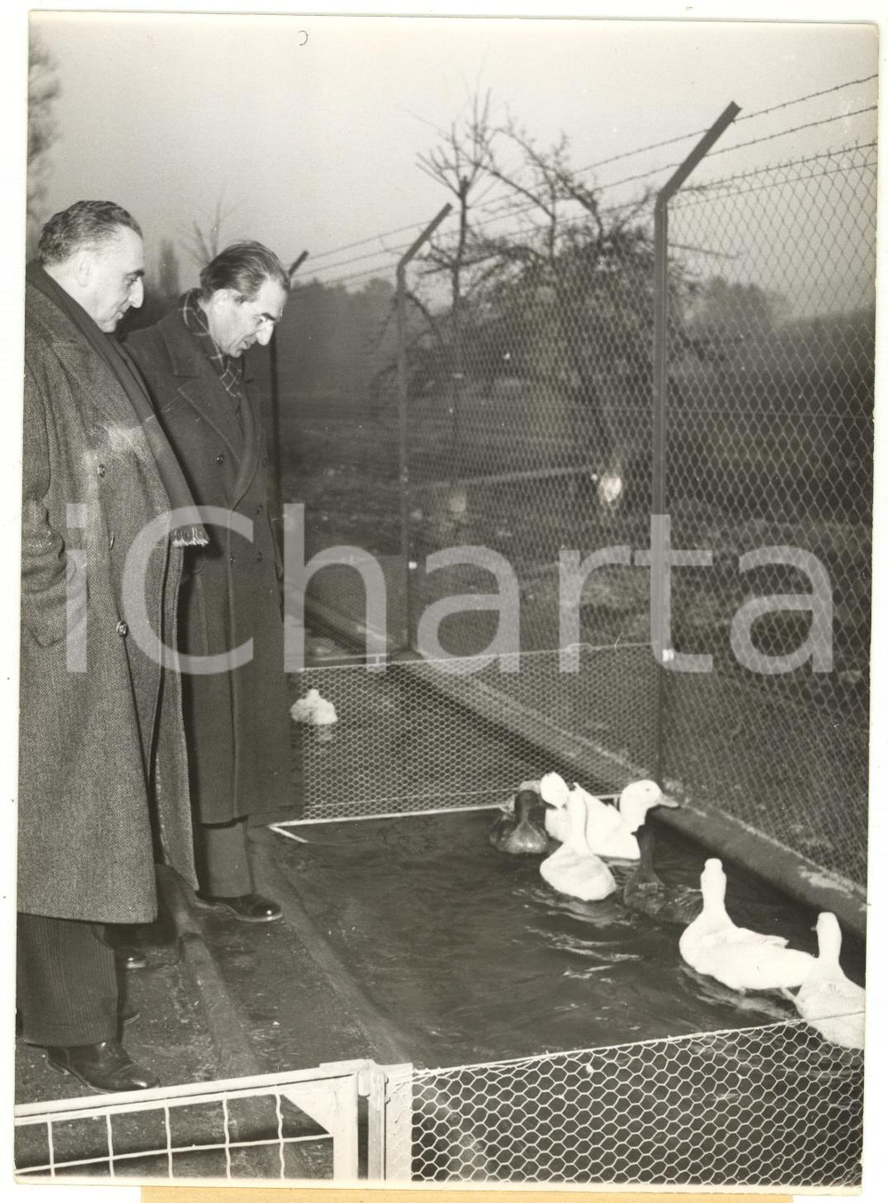 1959 GIF-SUR-YVETTE - CNRS Louis JACQUINOT with Henri BENOIT - Photo 13x18