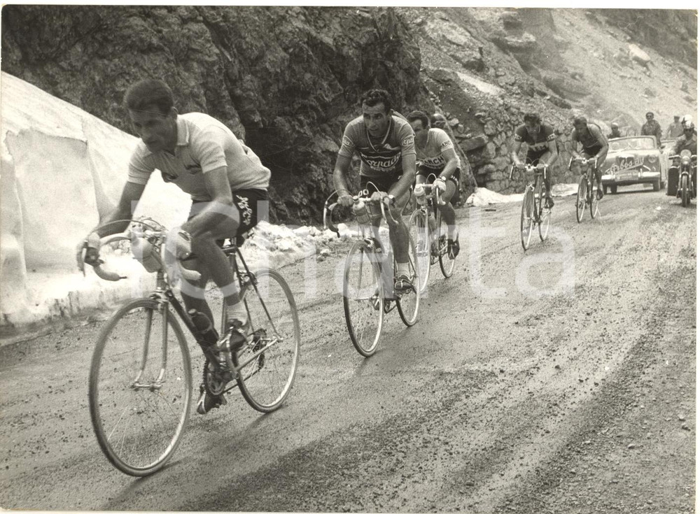 1956 CICLISMO GIRO D'ITALIA Pasquale FORNARA guida il gruppo - Foto 18x13 cm