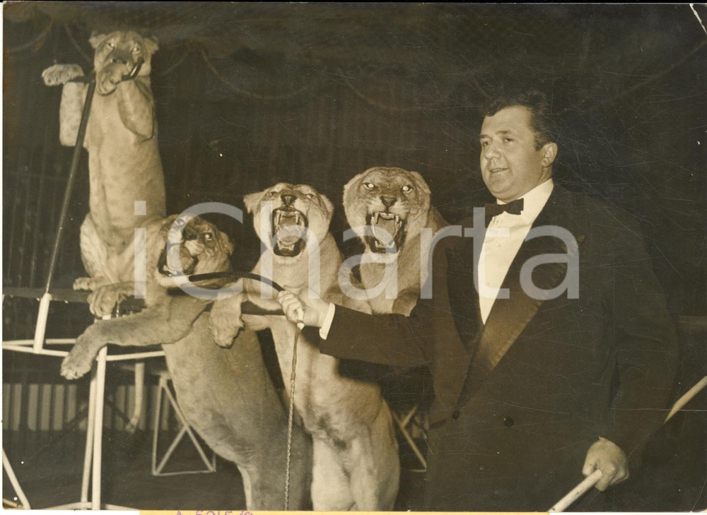 1957 BRUXELLES CIRCO Jean RICHARD domatore tra i suoi leoni - Foto 18x13 cm