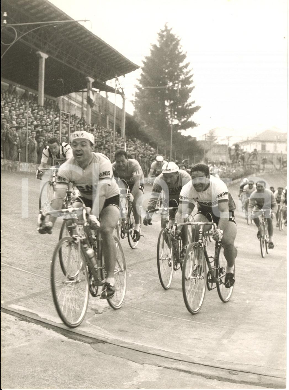 1958 CICLISMO MILANO-TORINO Miguel POBLET conquista il 2° posto - Foto 13x18 cm