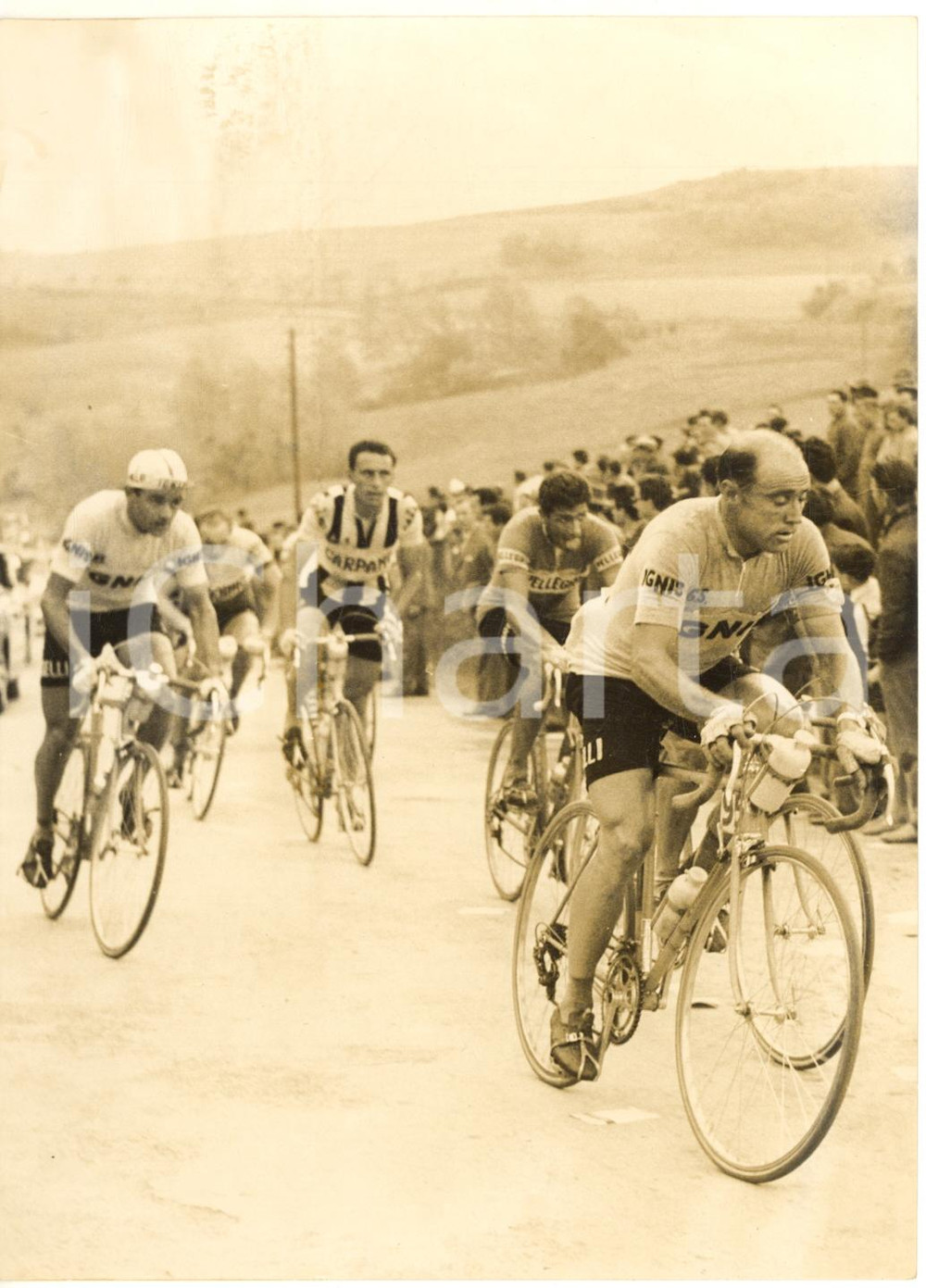 1958 CICLISMO GIRO D'ITALIA 5^ tappa - Miguel POBLET sulla PEDAGGERA - Foto
