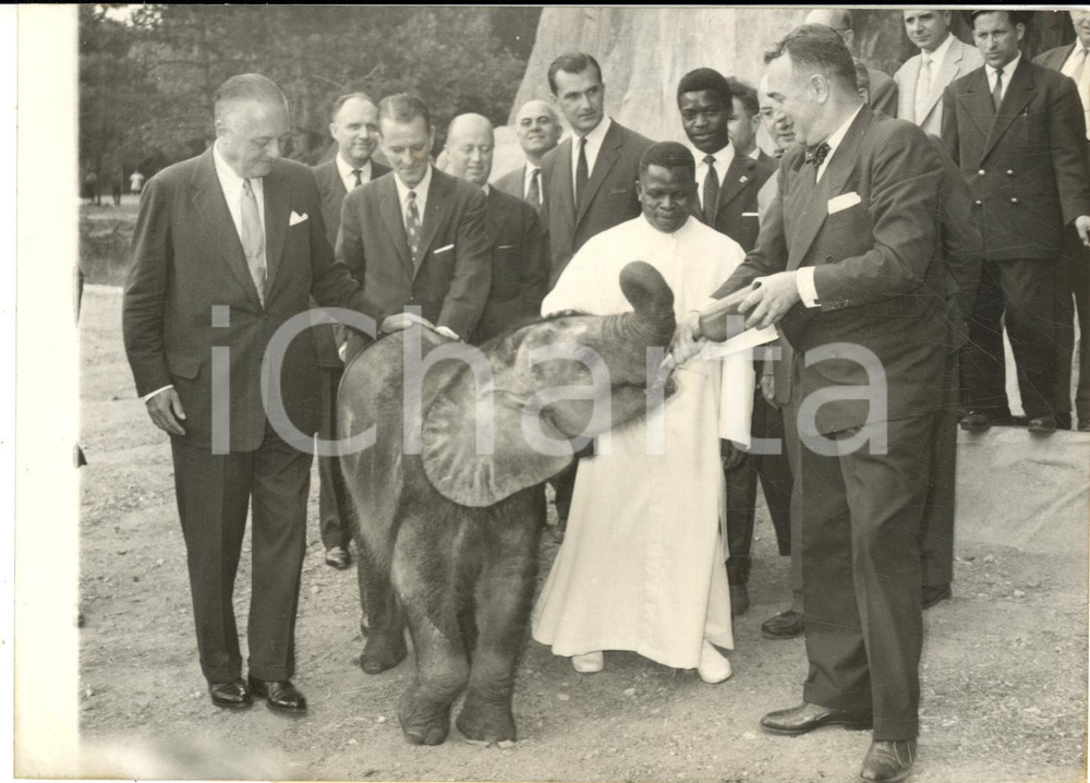 1959 PARIS Amory HOUGHTON riceve da Fulbert YOULOU un cucciolo di elefante *Foto