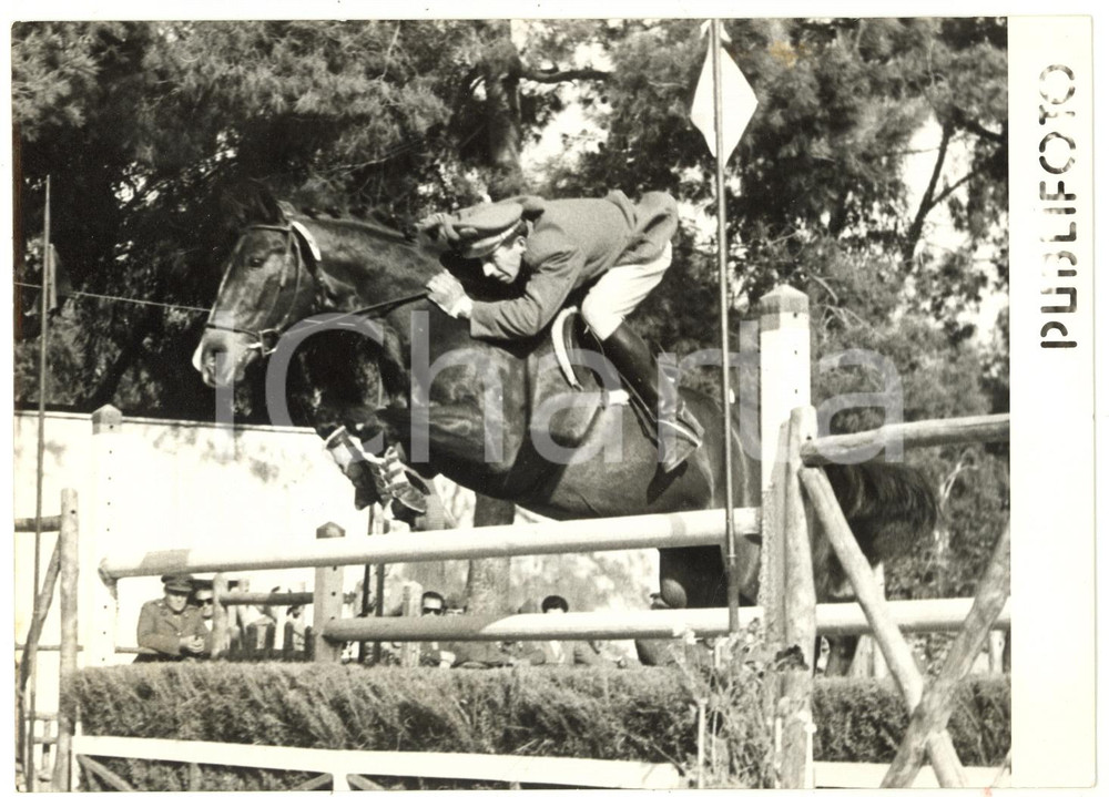 1954 NAPOLI Mostra d'Oltremare CONCORSO IPPICO - Raimondo D'INZEO al salto *Foto