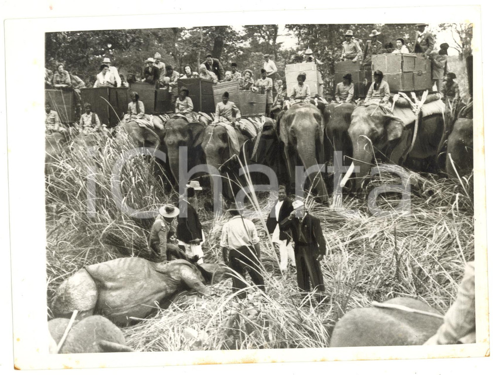 1961 NEPAL Queen Elizabeth II Philip of Edimburgh hunters with a dead rhino