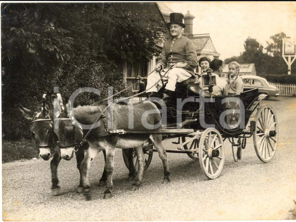 1957 WIVELSFIELD GREEN (SUSSEX) The new donkey-drawn bus - Photo 20x15 cm