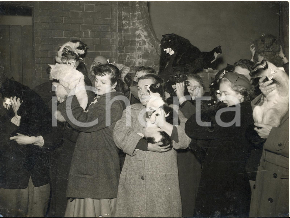 1956 LONDON Sadler's Well Theatre - Cats auditioned for "School for Fathers"