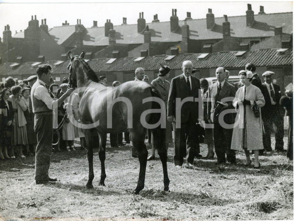 1955 DONCASTER - Queen Elizabeth and Marcus WICKHAM-BOYTON looking filly SICAMBE