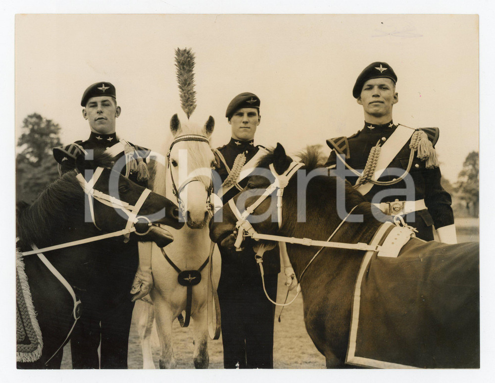 1955 ALDERSHOT Military alliance between the Parachute Regiment's mascots *Photo