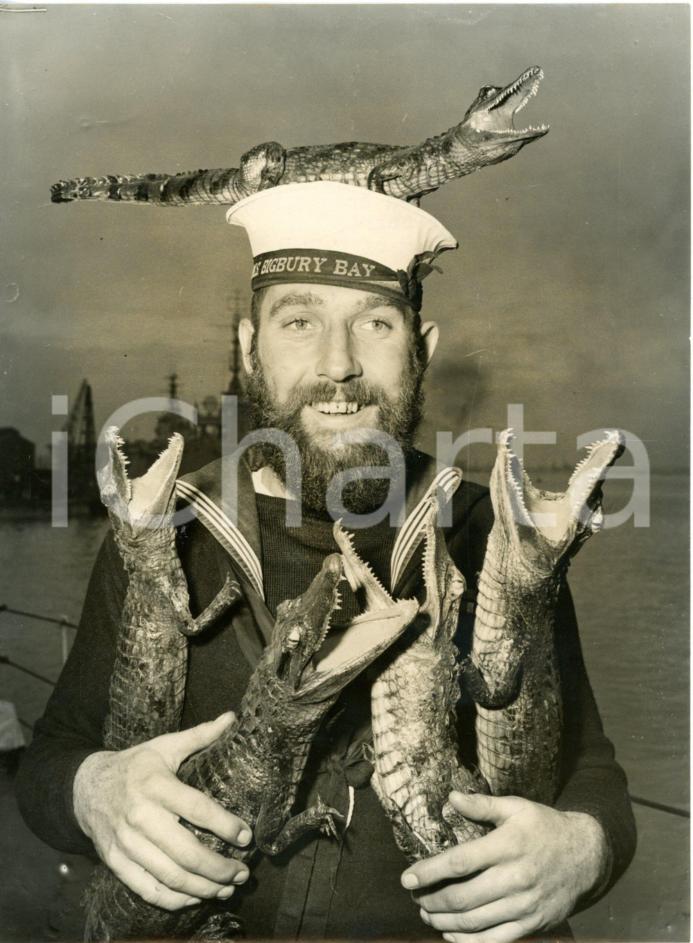 1953 US ROYAL NAVY STATION - Patrick SPENDLOVE holding stuffed crocodiles *Photo