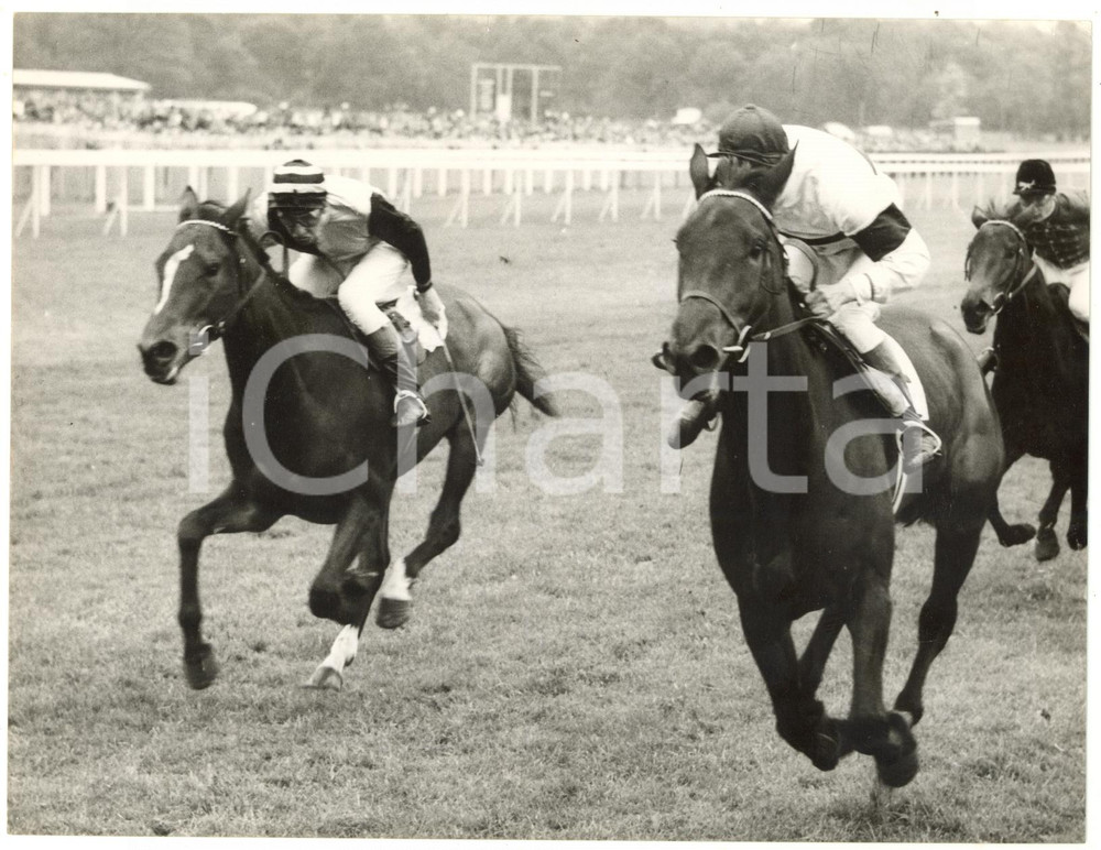 1958 LINGFIELD PARK Oaks Trial Stakes - Stan CLAYTON winning on NONE NICER
